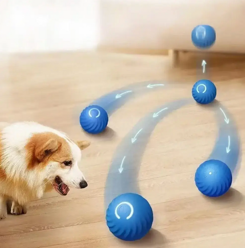 Active Auto Rolling Ball For Dogs