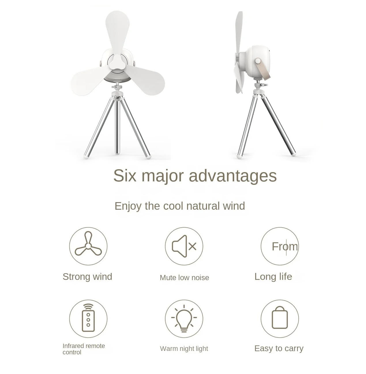 Flexora Wireless Ceiling Fan