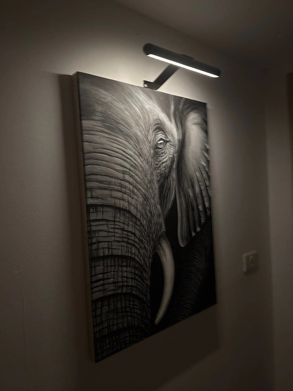 Flexora Wireless LED Picture Light