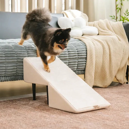 2-in-1 Convertible Dog Ramp And Step Stool