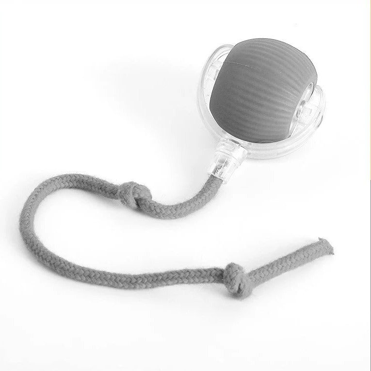 Active Rolling Ball With Tail For Dogs