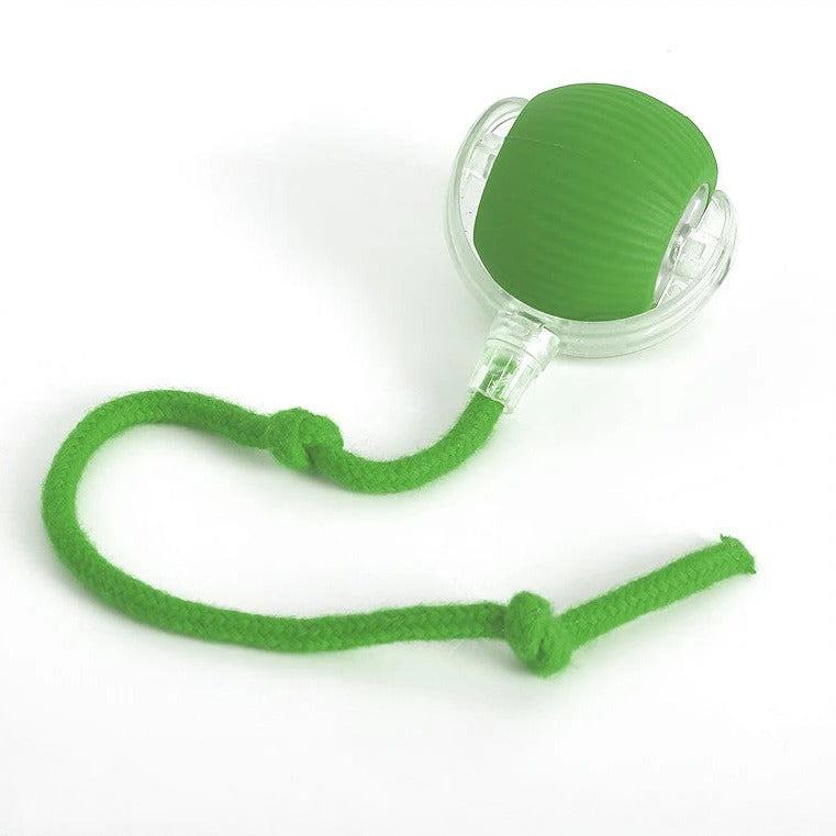 Active Rolling Ball With Tail For Dogs