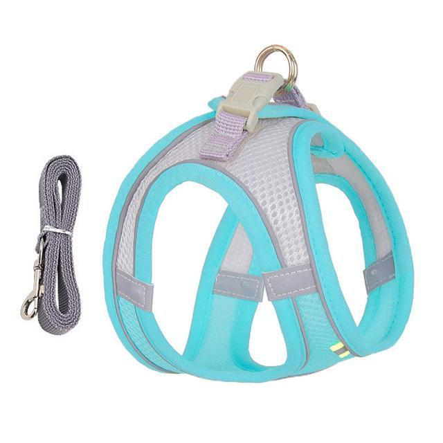 Adjustable Harness And Leash Set For Small Dogs And Cats