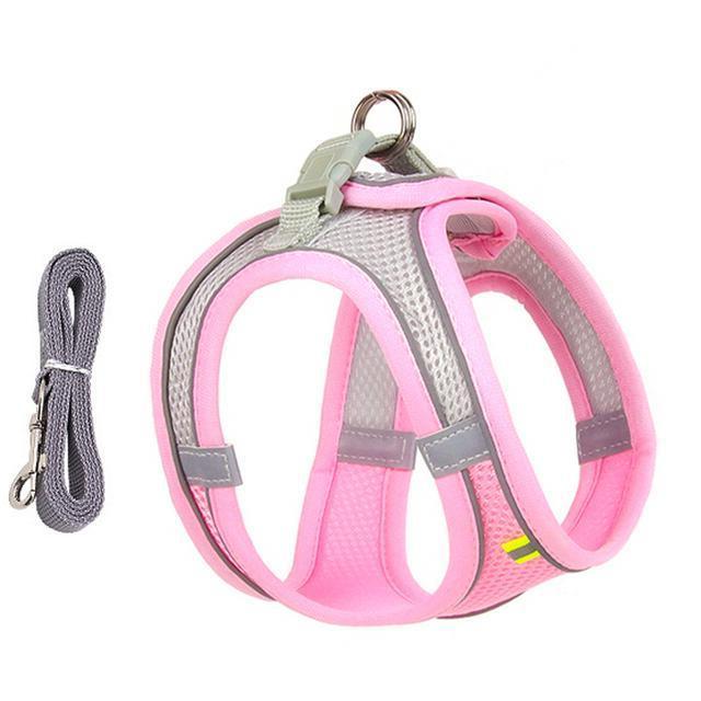 Adjustable Harness And Leash Set For Small Dogs And Cats