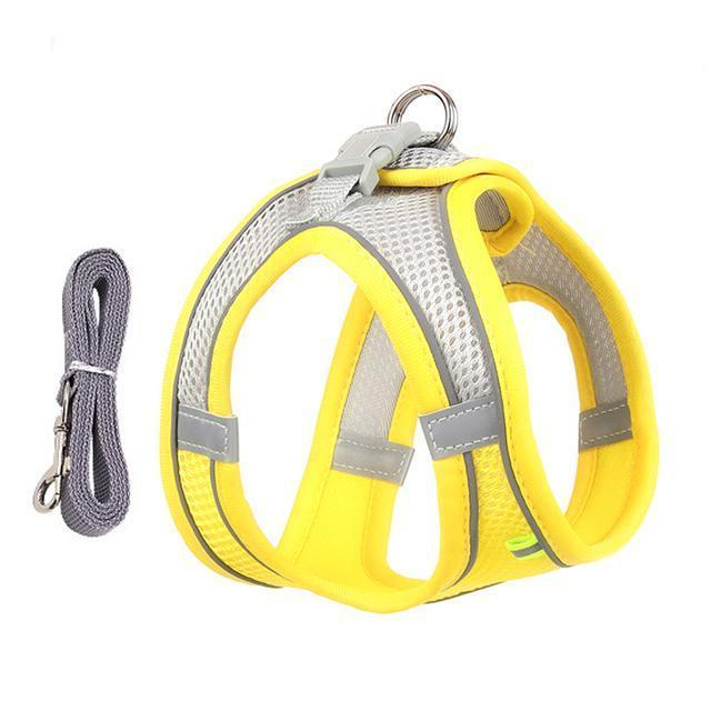 Adjustable Harness And Leash Set For Small Dogs And Cats