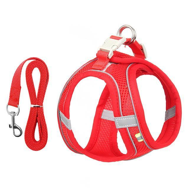 Adjustable Harness And Leash Set For Small Dogs And Cats
