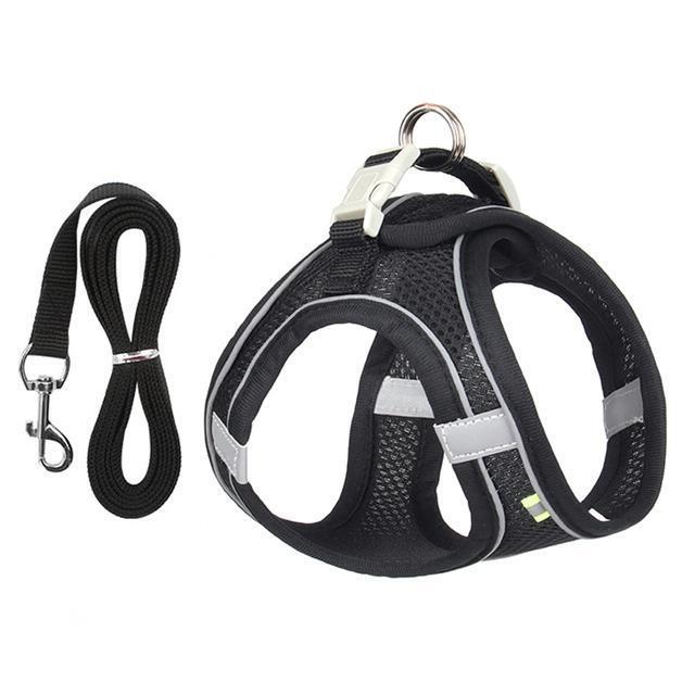 Adjustable Harness And Leash Set For Small Dogs And Cats