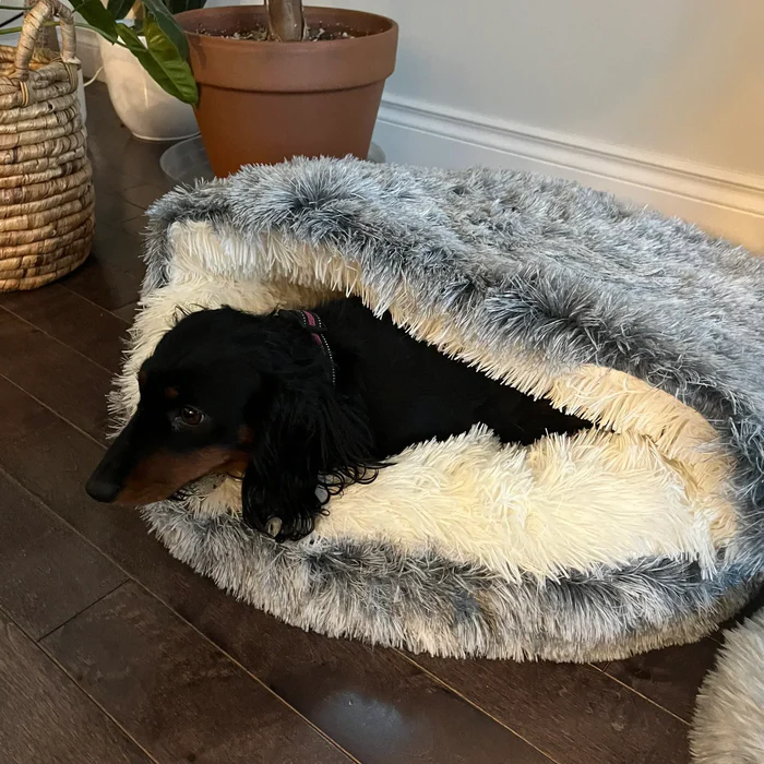 Cozy Pet Bed For Dogs And Cats