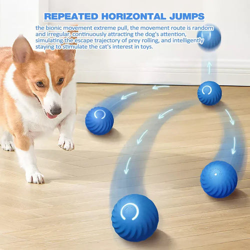 Anti-Anxiety Auto Rolling Ball For Pets